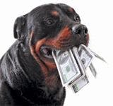 veterinary-dog-rottweiler-dollars-119394657-821114-1404219726397.jpg