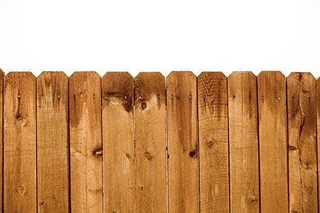 veterinary-wooden-fence-boundary-wall-AdobeStock