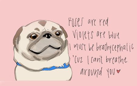 Share the love with your punny veterinary technician valentine