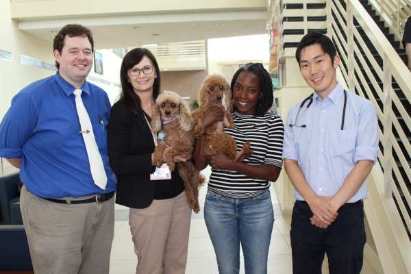 Michael Aherne, MVB (Hons 1), GradDipVetStud, MS, MANZCVS (Small Animal Surgery), DACVIM (Cardiology); Darcy Adin, DVM; and Katsuhiro Matsuura, DVM, PhD, members of the UF College of Veterinary Medicine’s open heart surgery team. They are posing with their first patient, George, held by his owner, Kimberley David (second from the right) before George’s discharge on August 28th. Adin holds Louise, David’s companion during George’s hospital stay. (Photo by Sarah Carey)