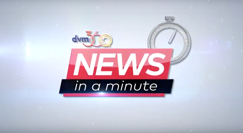 News in a minute: First canine IBD blood test, game-changing feline diet, hypothermia doodle