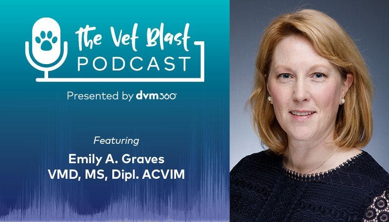 Vet Blast Podcast episode with Emily A. Graves, VMD, MS, Dipl. ACVIM