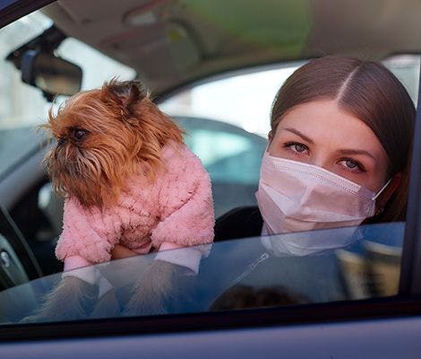 woman in car with dog COVID-19