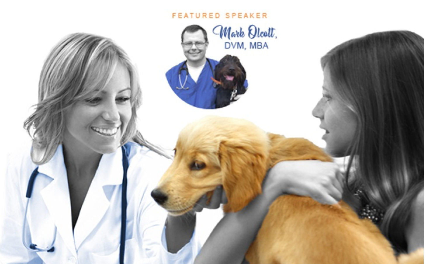 Free webinar—Paying for veterinary care: New ways to solve a pervasive problem