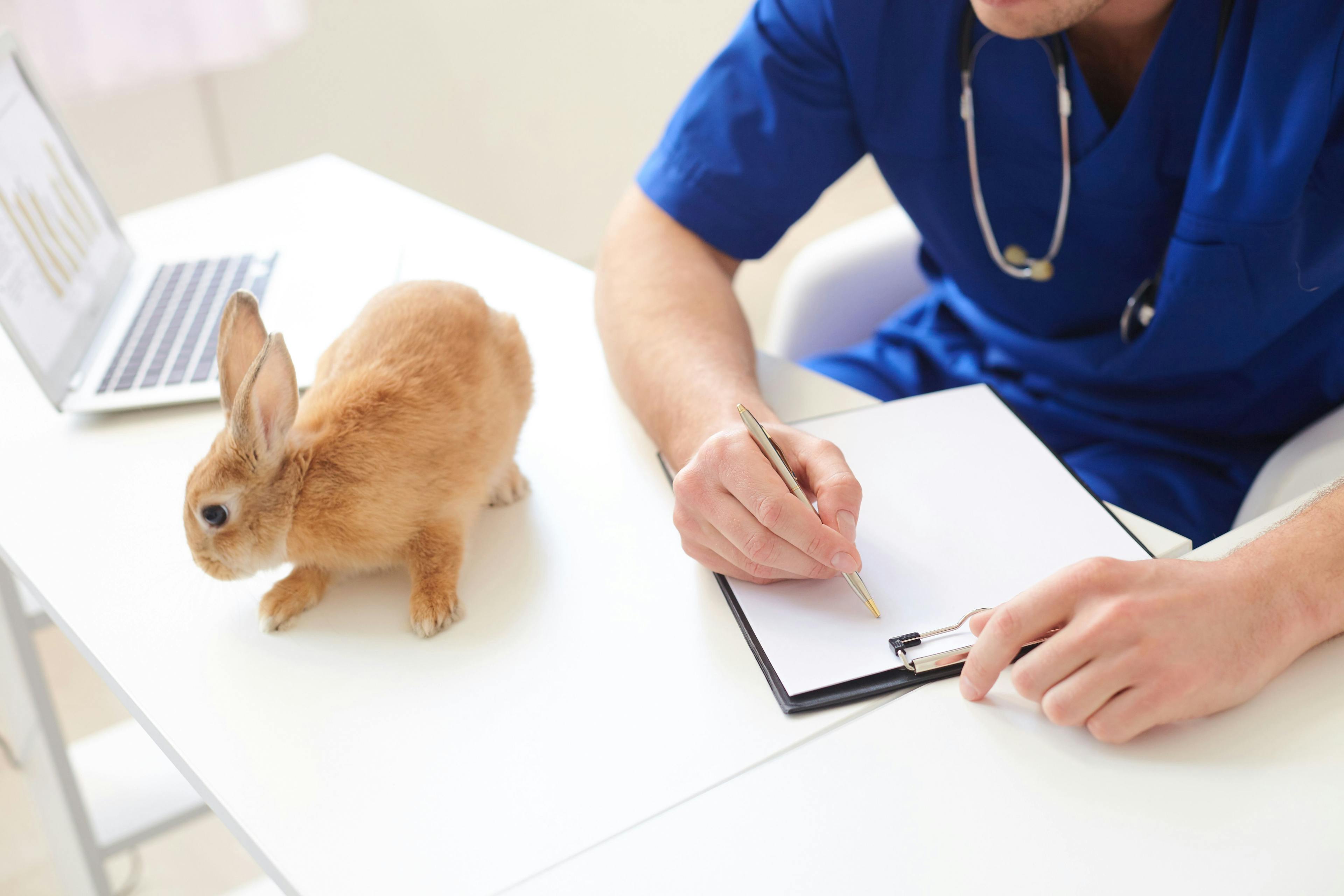 veterinary healthcare documentation