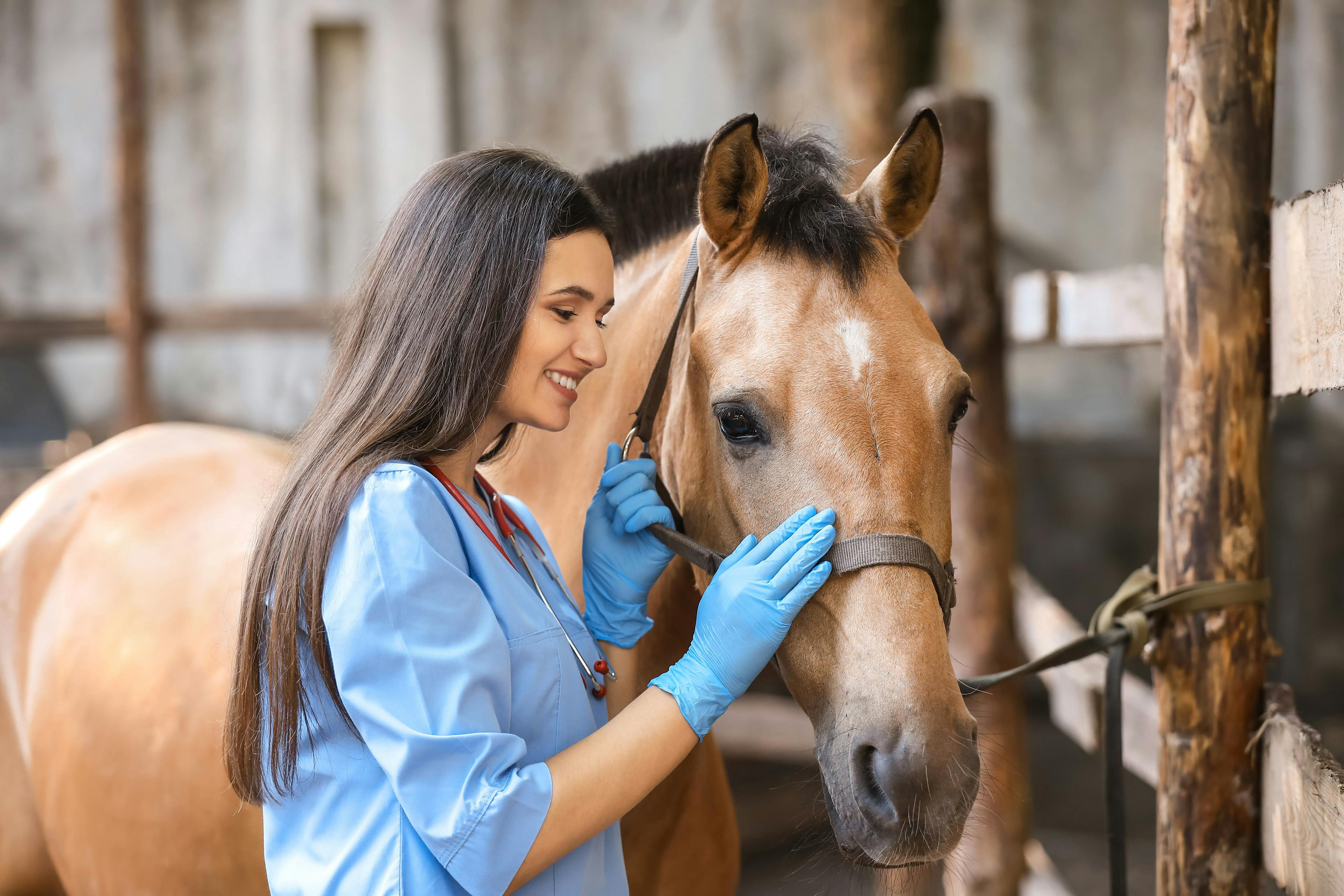 3 Must-reads for World Horse Day