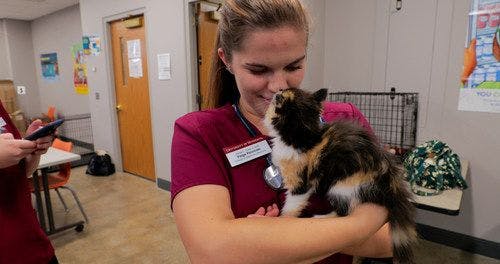 Paige Palomaki, fourth-year veterinary student at the University of Minnesota, was gifted the Steve Marton Scholarship in 2021/2022 (Photo courtesy of PetSmart Charities). 