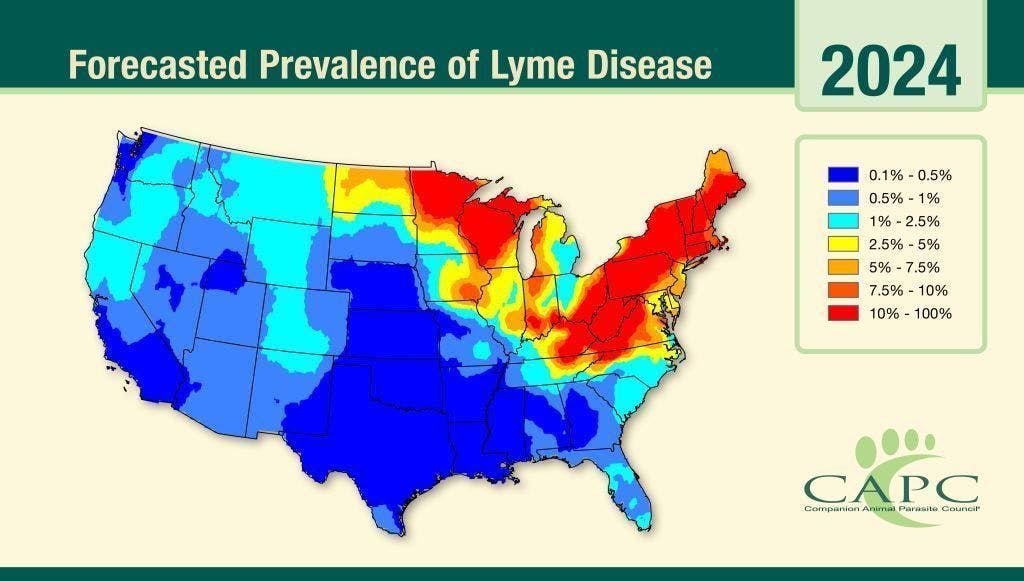 Companion Animal Parasite Council- Lyme Disease Forecast(Images courtesy of Companion Animal Parasite Council) 