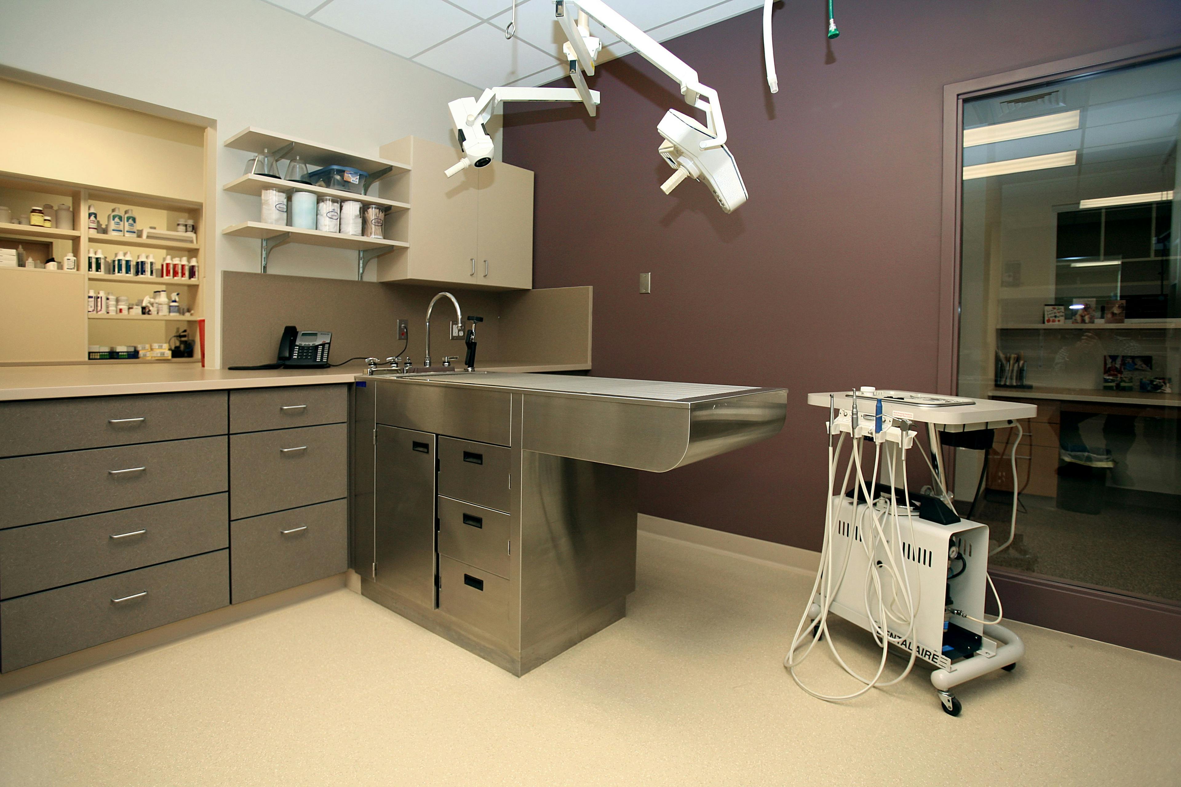 veterinary dental treatment area