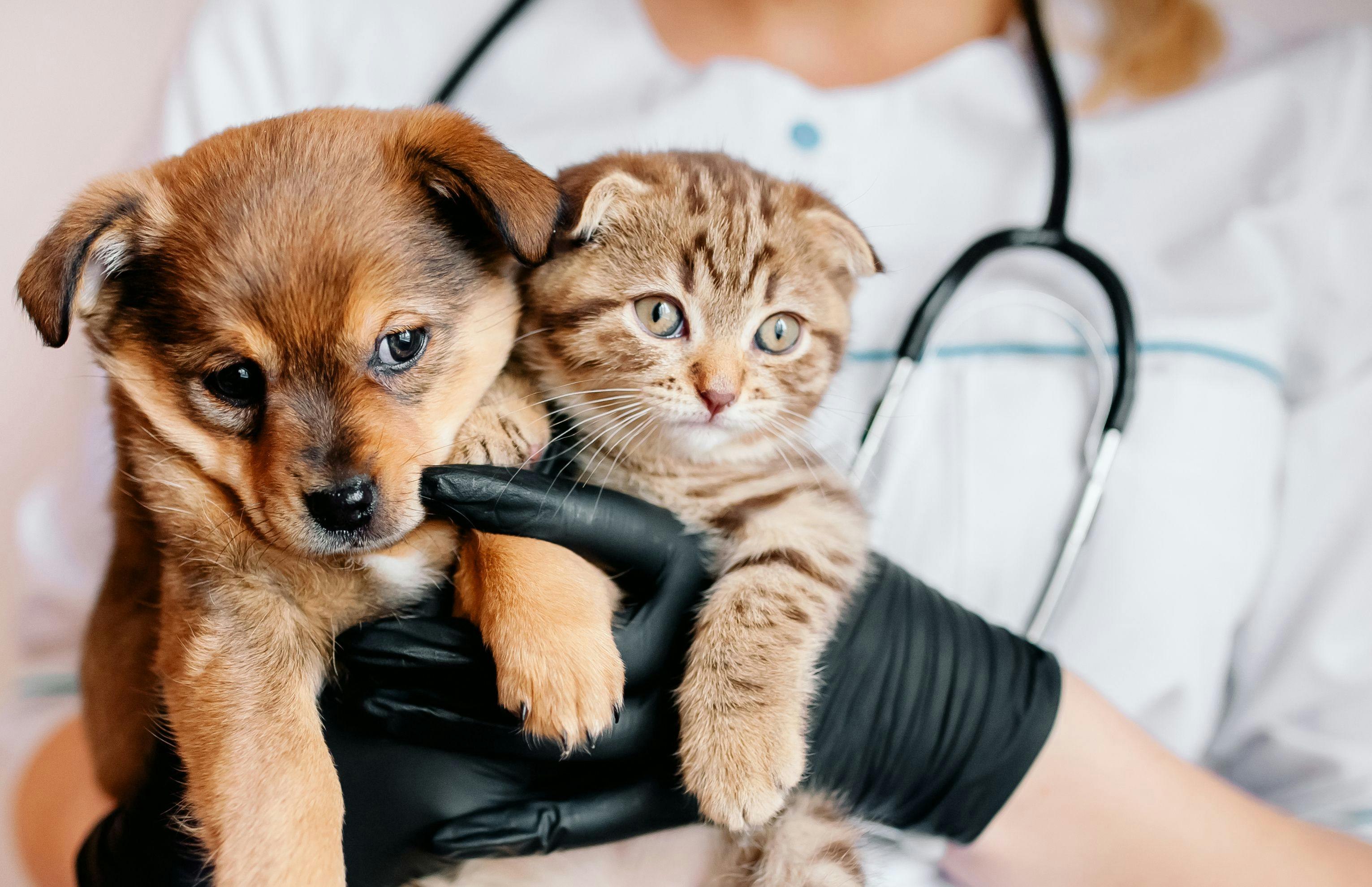Virbac launches nutritional line for spayed and neutered pets