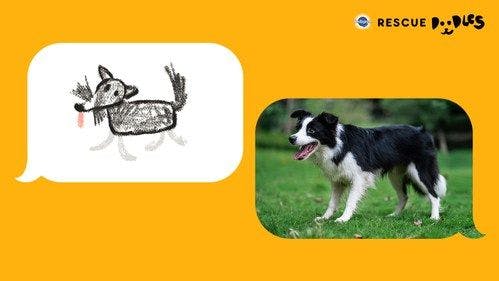 Kids sketch a pup, parents snap a photo of it, then they can find a matching adoptable dog nearby (Photo courtesy of the Pedigree Brand). 