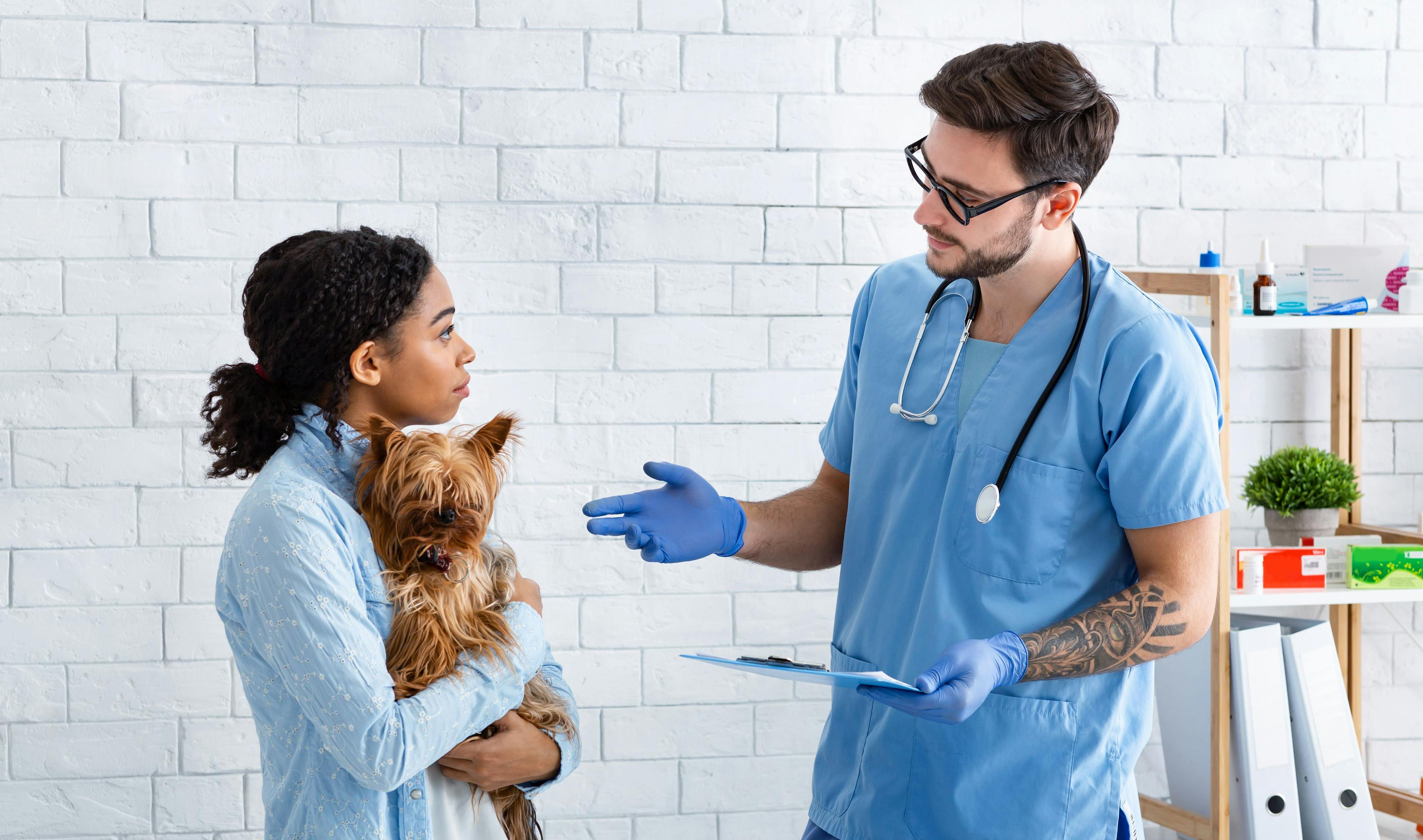 veterinary professional talking to owner with her dog