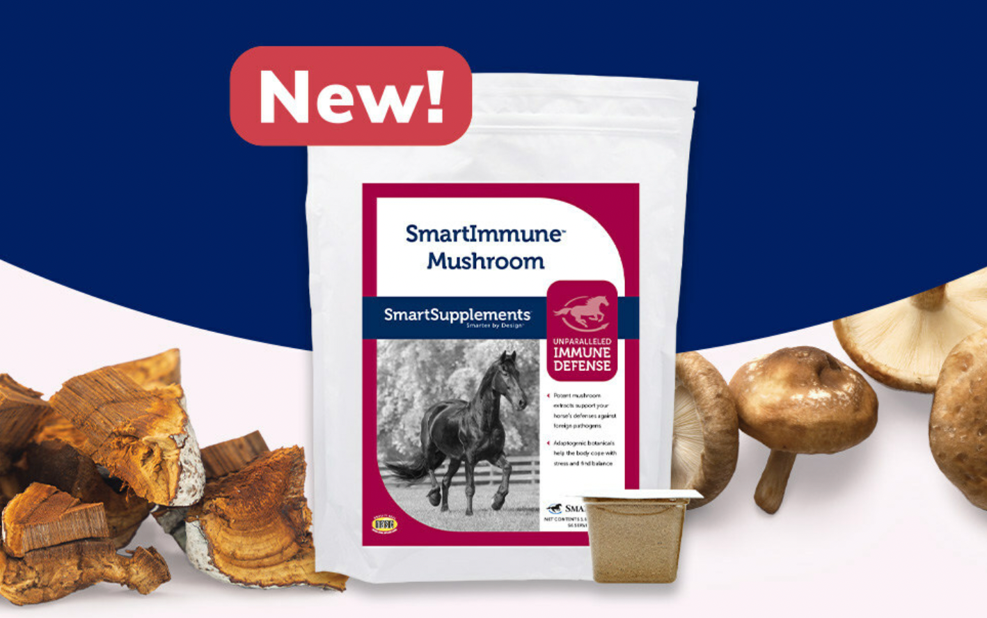 Equine supplement for immune defense in horses is launched