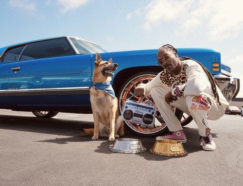 Snoop Dogg launches pet accessory brand