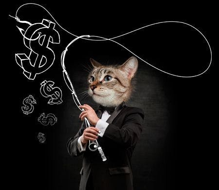 veterinary-cat-business-man-with-cat-head-fishing-money-450px-shutterstock-188109899.jpg