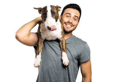 veterinary-bull-terrier-and-his-owner-shutterstock-458892613-450.jpg
