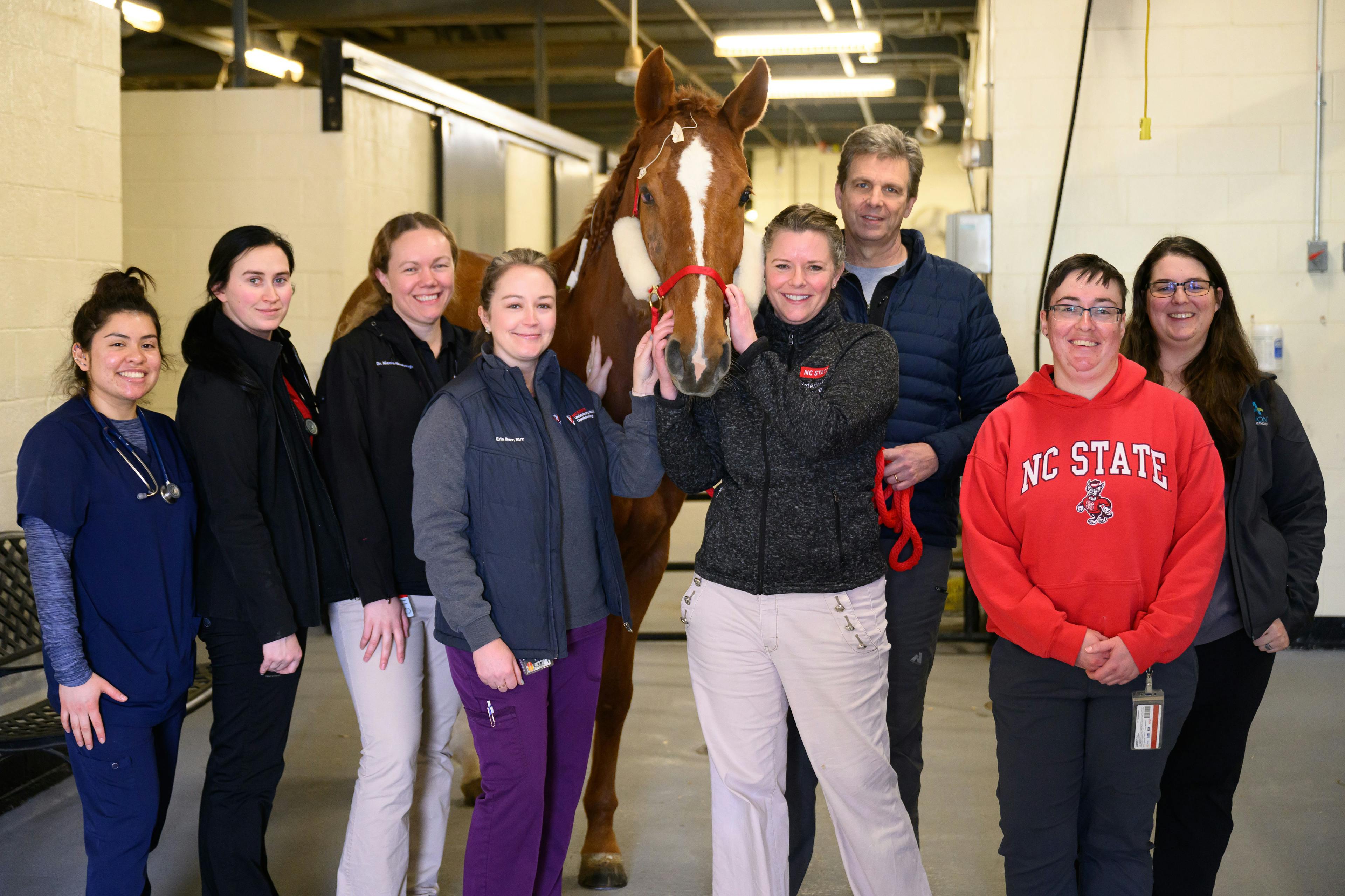 NC State College of Veterinary Medicine ophthalmology and Large Animal Hospital teams with patient, Myra. To Myra's immediate left is Erin Barr, RVT. To Myra's immediate right is Michala Henriksen, DVM, PhD, and Brian C. Gilger, DVM, MS, DACVO, respectively. (Photo credit: John Joyner / NC State College of Veterinary Medicine)