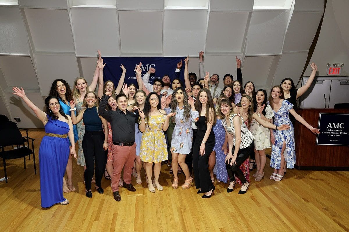 Schwarzman Animal Medical Center honors 2023 veterinary interns and residents