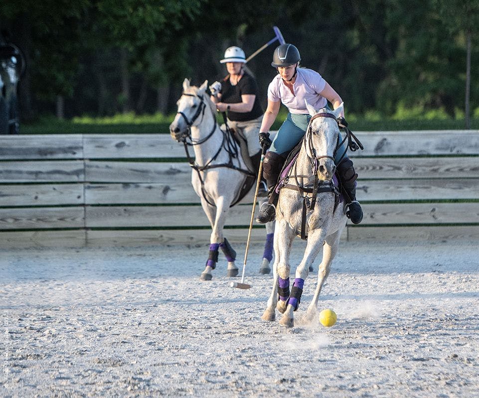 Veterinarian passionate about playing polo