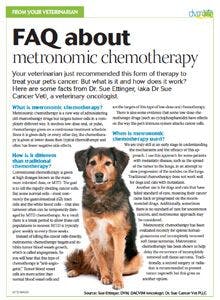 veterinary_metronomic_chemo_PDF_220.jpg