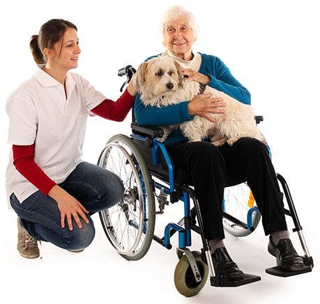 veterinary-doctor-with-woman-in-wheelchair-holding-dog-AdobeStock_47182840-body.jpg