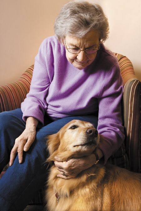 veterinary-Elderly-Caucasian-woman-in_bedroom-at-retirement-community-center-petting-therapy-dog-126396638-450px.jpg