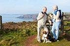 Dog Walking is Associated with Better Health in Older Adults