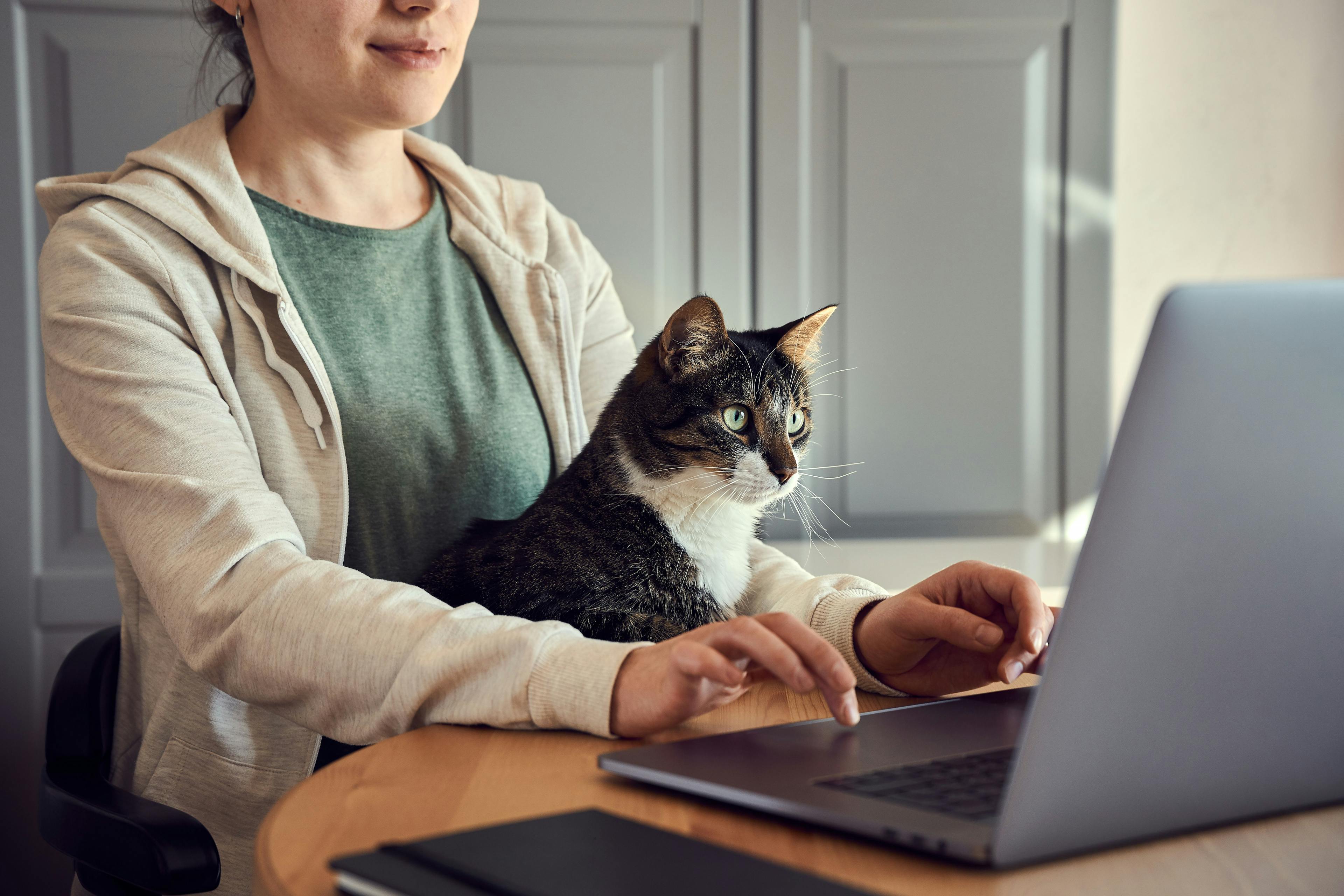 Implementing virtual care in veterinary practice