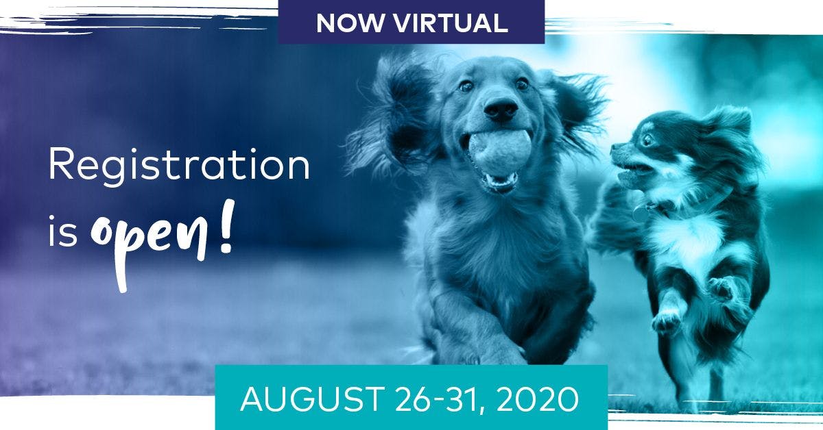 Fetch dvm360 announces combined virtual veterinary conference