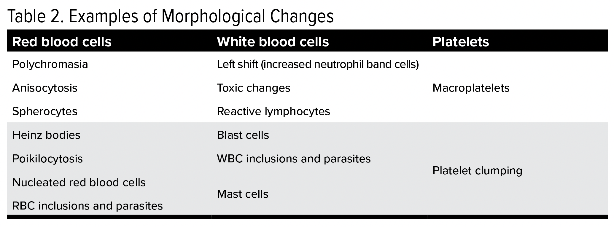 Examples of Morphological Changes