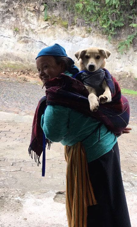 A_local_woman_carrying_her_dog_home_450.jpg