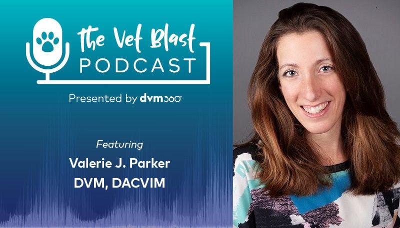Vet Blast Podcast with Valerie J. Parker