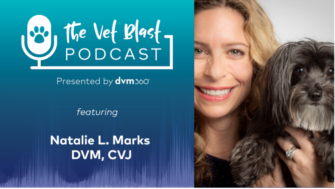 The Vet Blast Podcast | © dvm360 | Dr. Natalie Marks