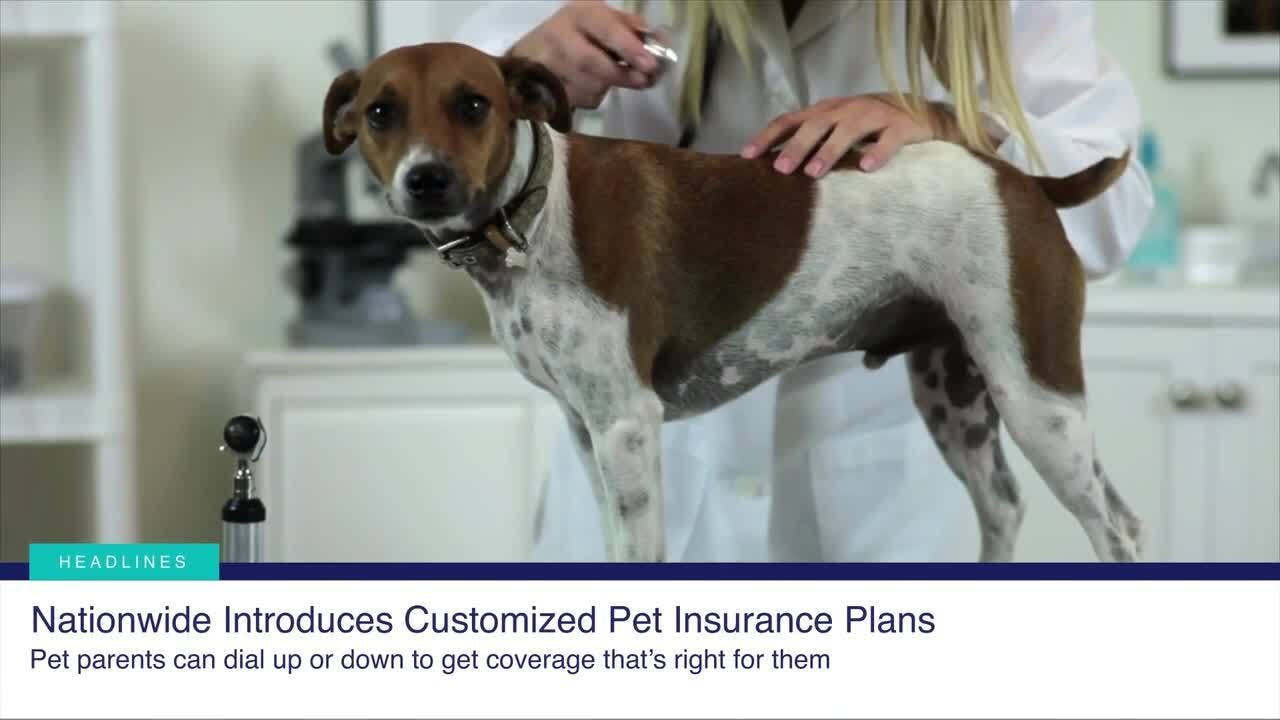 Customized pet insurance, FDA approvals, and more