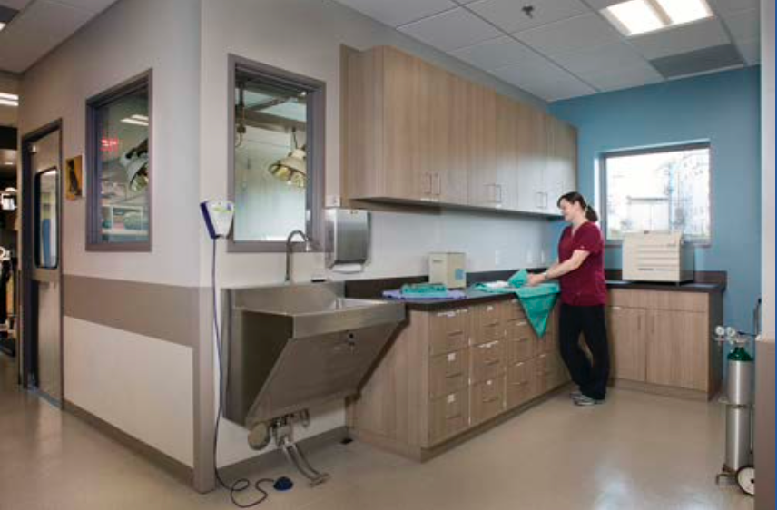 A touchless scrub sink at Adobe Animal Hospital in Petaluma, California. (Photo by Murphy Foto Imagery)