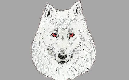 direwolf-450.jpg
