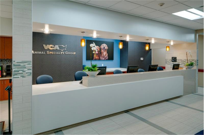 Reception desk with solid surface front and porcelain tile flooring at VCA Animal Specialty Group, San Diego, California. (Courtesy of Dale Pickett)