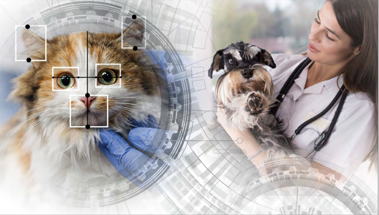How artificial intelligence is improving veterinary diagnostics