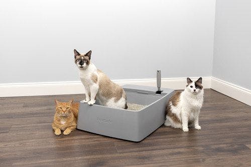 PetSafe debuts Multi-Cat Litter Box 