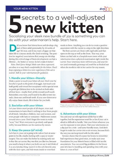 veterinary-handout-new-kitten-socialization-450.jpg