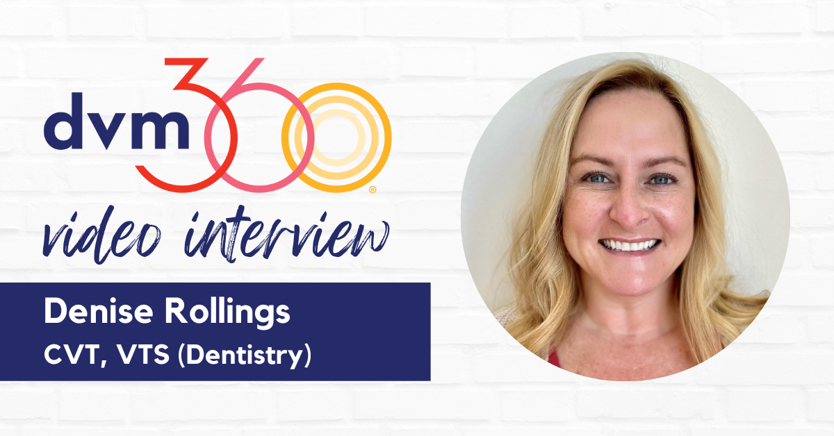 Denise Rollings, CVT, VTS (Dentistry) shares her excitement for ACVC