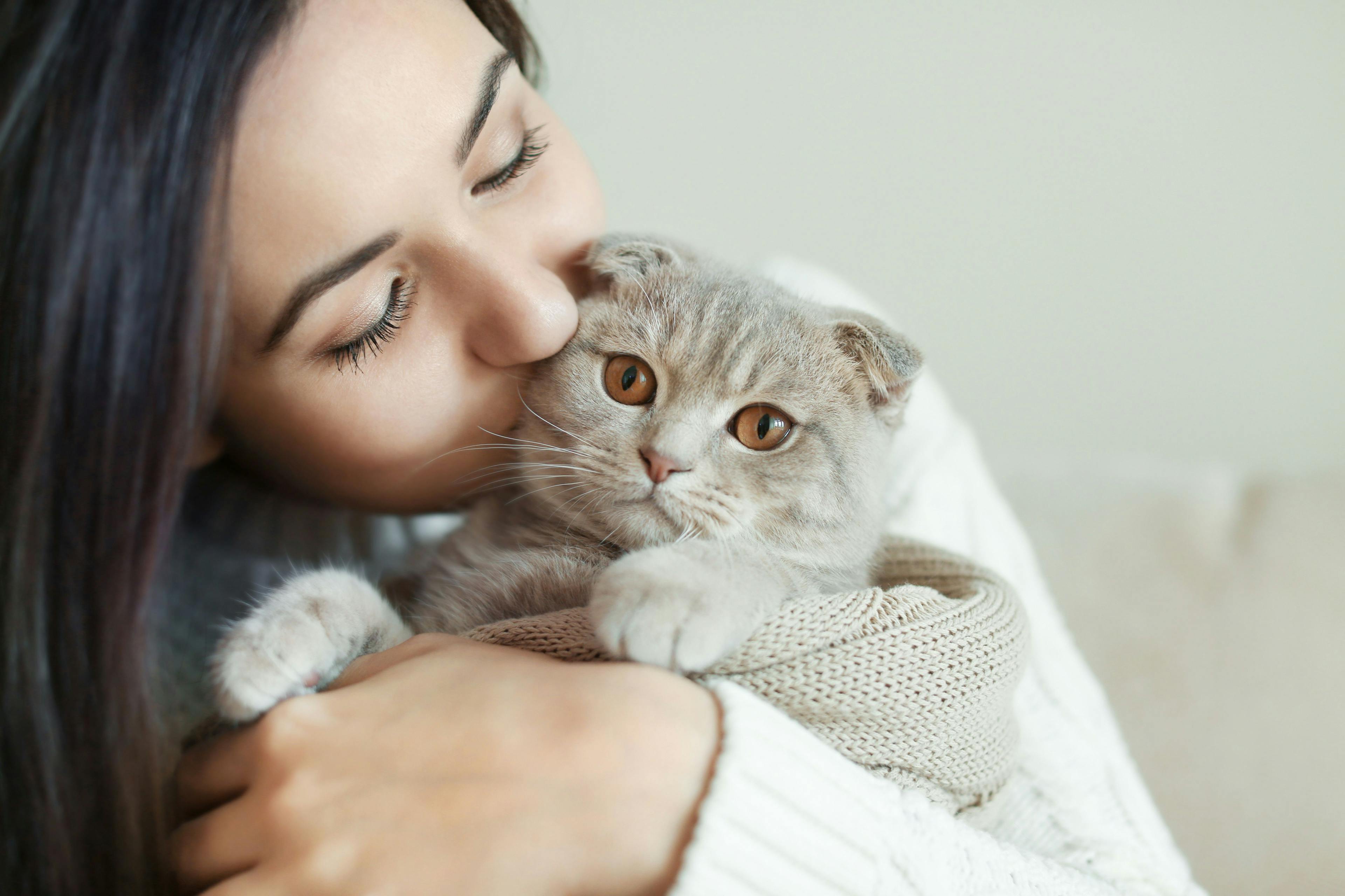 Game-changing feline diet promises relief for people allergic to cats