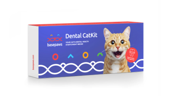 Dental health test kit aids in preventing common disease in cats