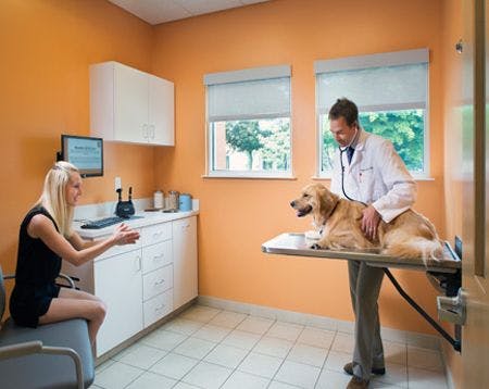 2_VeterinaryVillageClinicofHamburg_Exam-Room_450.jpg