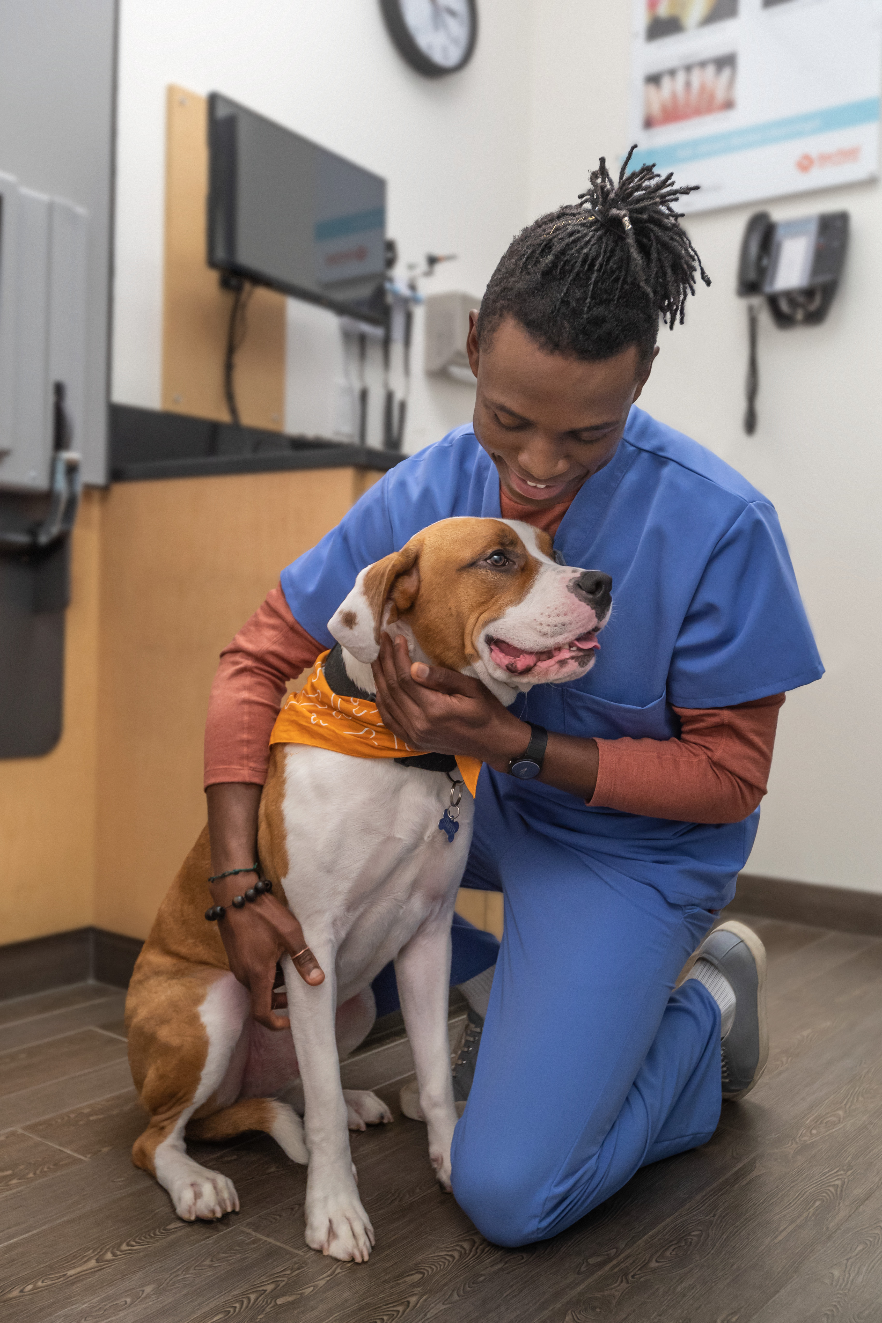 The 4 I’s of quality improvement in veterinary medicine