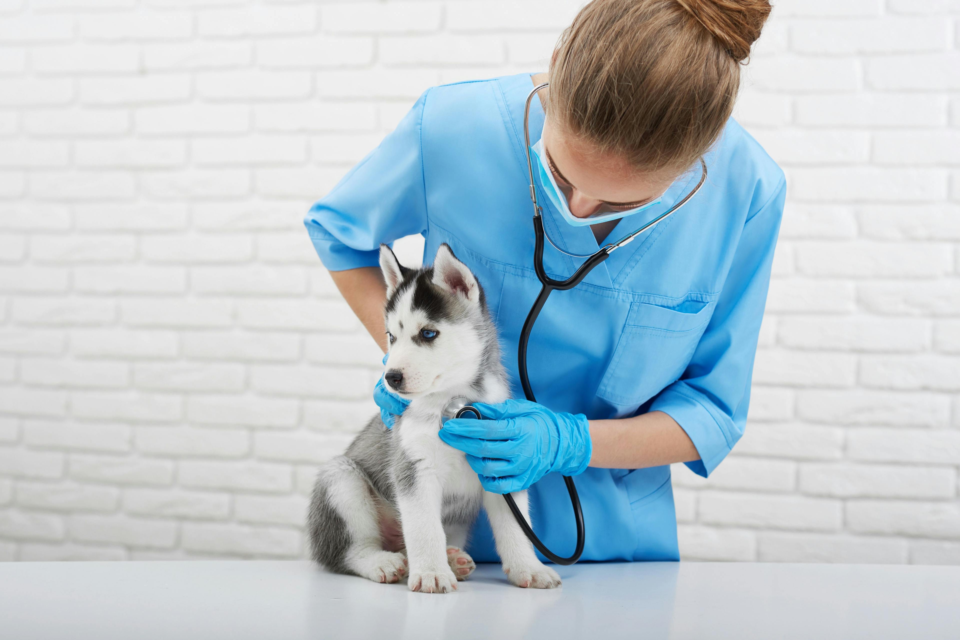 Do we need a paradigm shift in canine neutering?