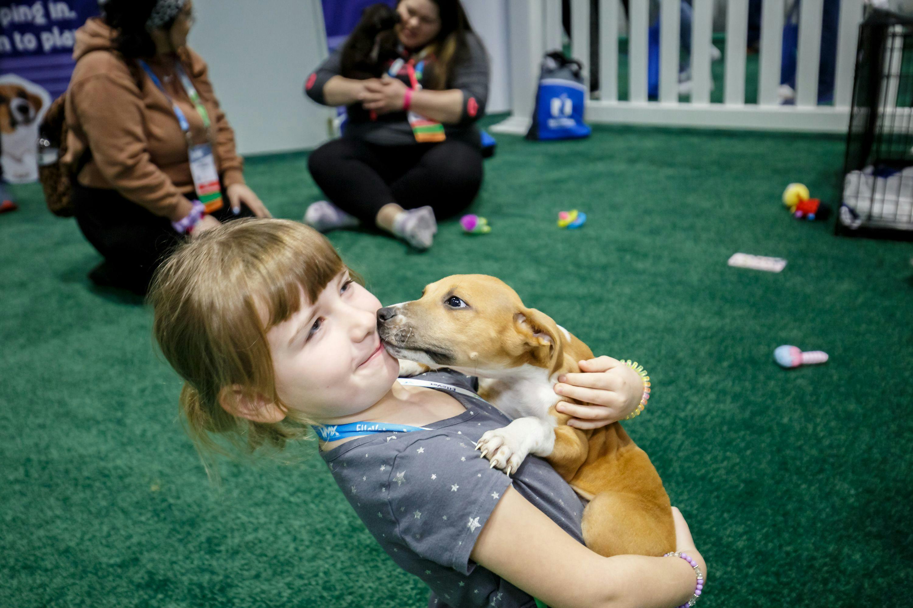 A child holds a puppy at the Puppy Playground during VMX 2023. (Photo courtesy of NAVC)