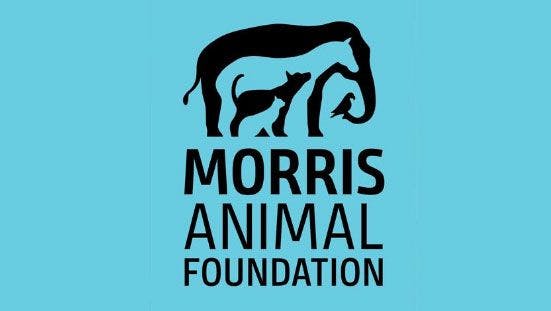 Morris Animal Foundation sponsors 13 scientific symposia and conferences 