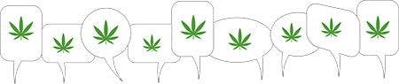 Can you talk about cannabis in veterinary practice?