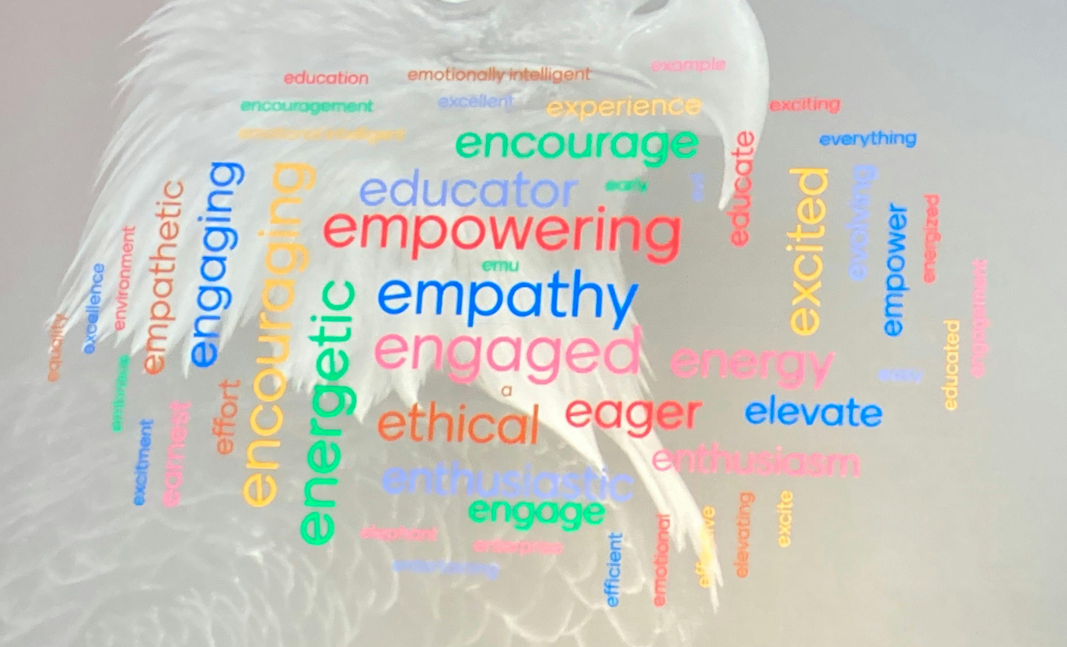 Photo: Kristen Coppock/dvm360

Keynote participants created a word cloud for each letter in 'leadership' that describes the attributes that are important to them.